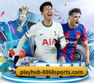 playhub-8868sports.com APP 界面